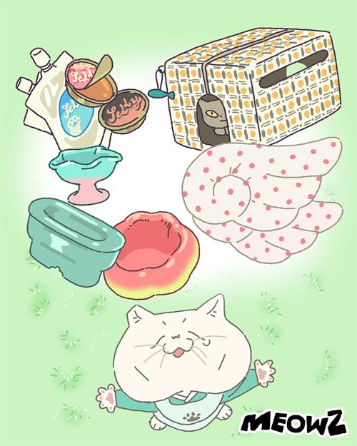 브랜드 라인업업 이미지